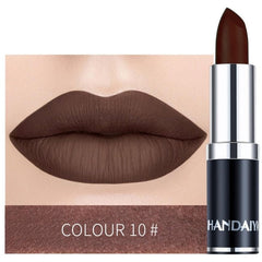 1PC Nude Waterproof Lipstick Matte Pumpkin