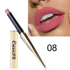 12 Shade 1PC Waterproof Lipstick Matte Pumpkin Color