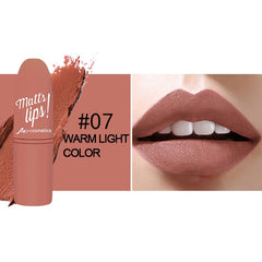 MK Waterproof Long Lasting Metallic Matte Lipstick